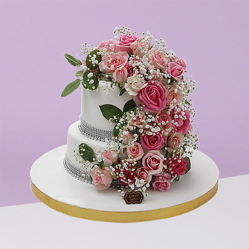 Engagements & Weddings 9