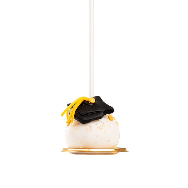  Graduation Cake Pops 1