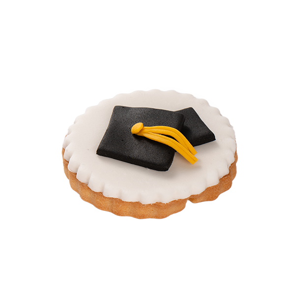 Graduation Cookies 7