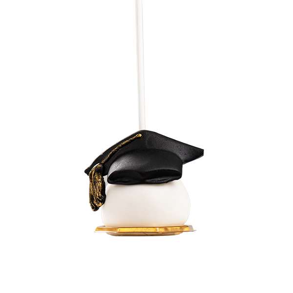  Graduation Cake Pops 2